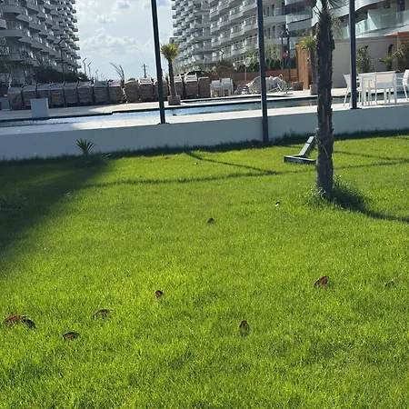 Διαμέρισμα Zigon By Casa Del Mar Mamaia